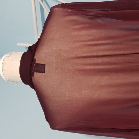 Express Sheer Deep-V Top - Picture 6 of 7